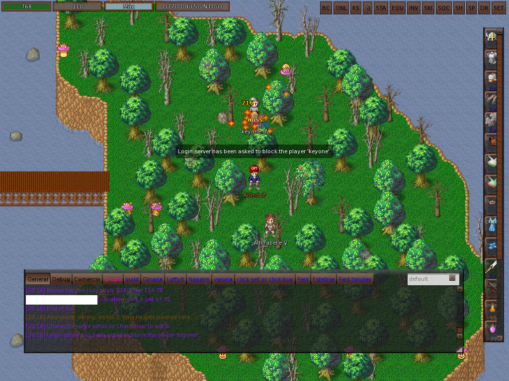 ManaPlus_Screenshot_162-2.png
