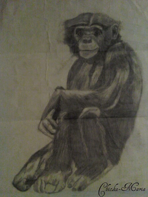 monkey_draw2.jpg