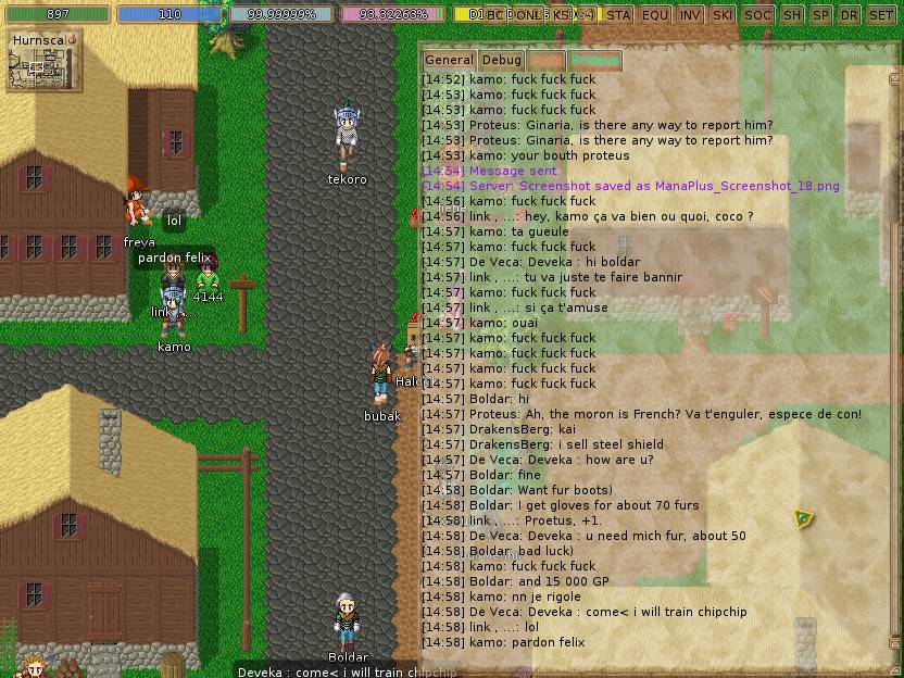 ManaPlus_Screenshot_19_small.jpg