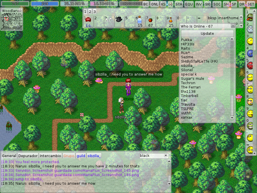 ManaPlus_Screenshot_147.png