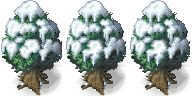 snow_oak_comparison.png