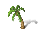 palm_s.png