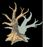 treetree1.png