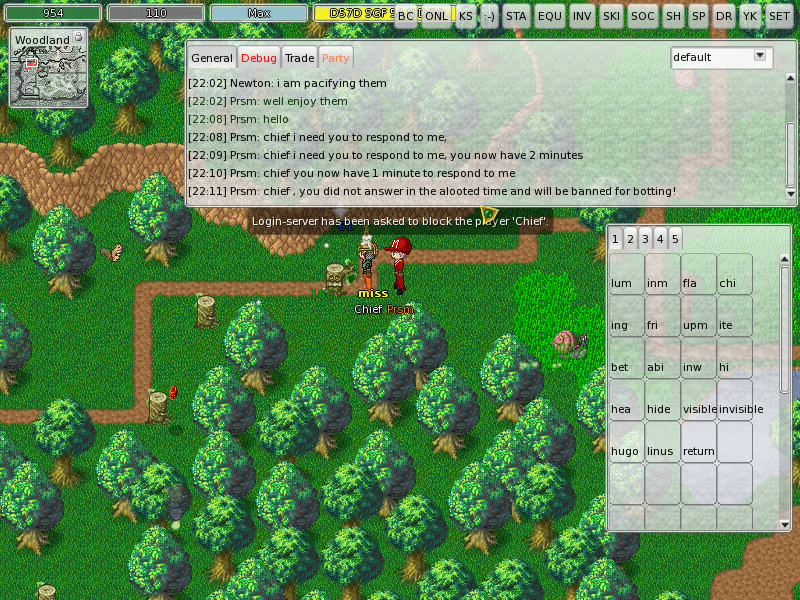 ManaPlus_Screenshot_2.png