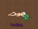 ss6.png