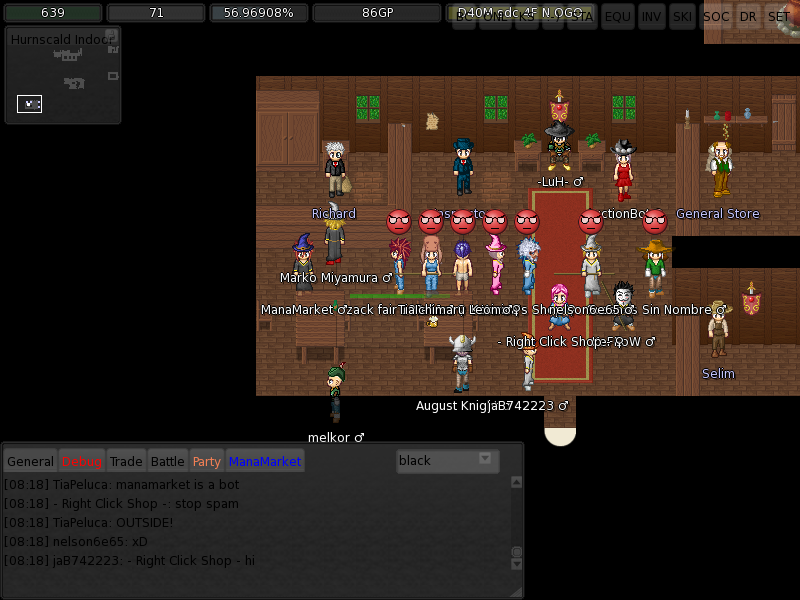 ManaPlus_Screenshot_20.png
