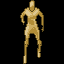 animation.gif