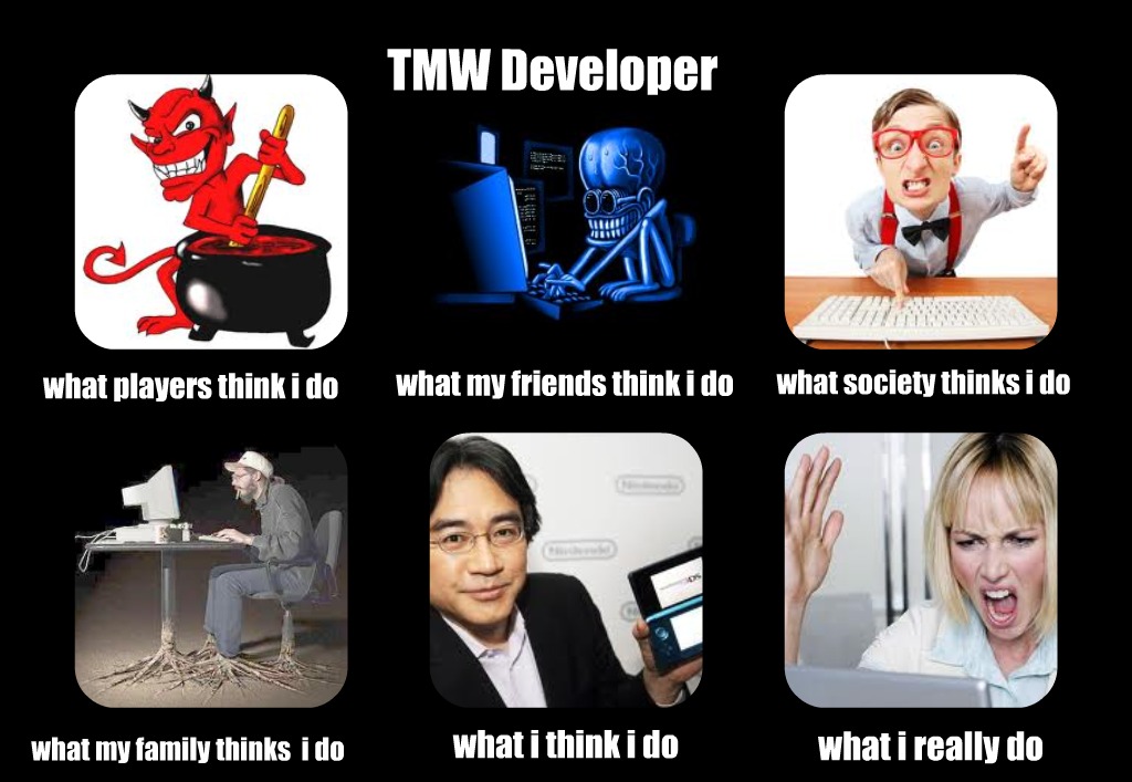 tmwdev.jpg