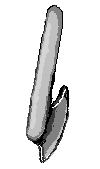 axe used by lumberjack.